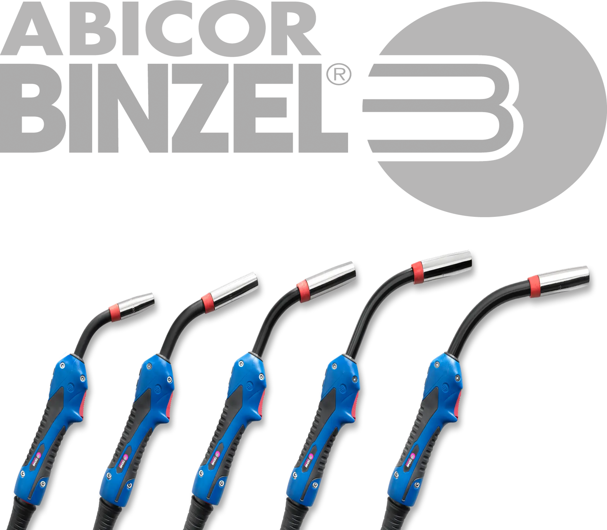Abicolor